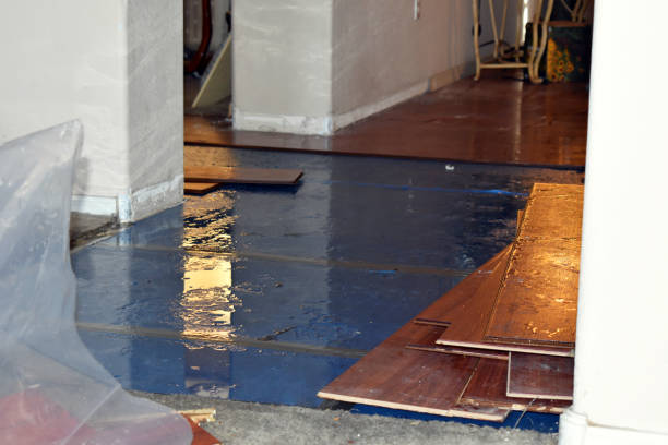 Professional Water Damage Restoration technician working in Percy, IL